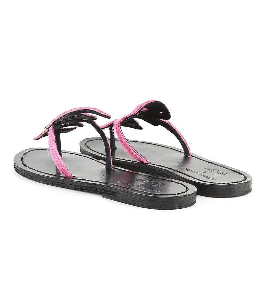 ARIADNI PINK